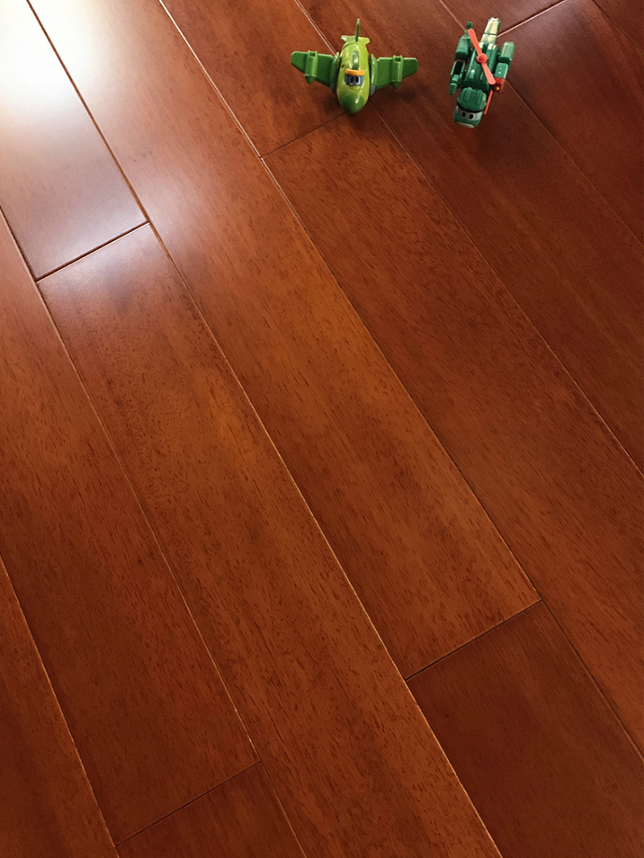 番龙眼