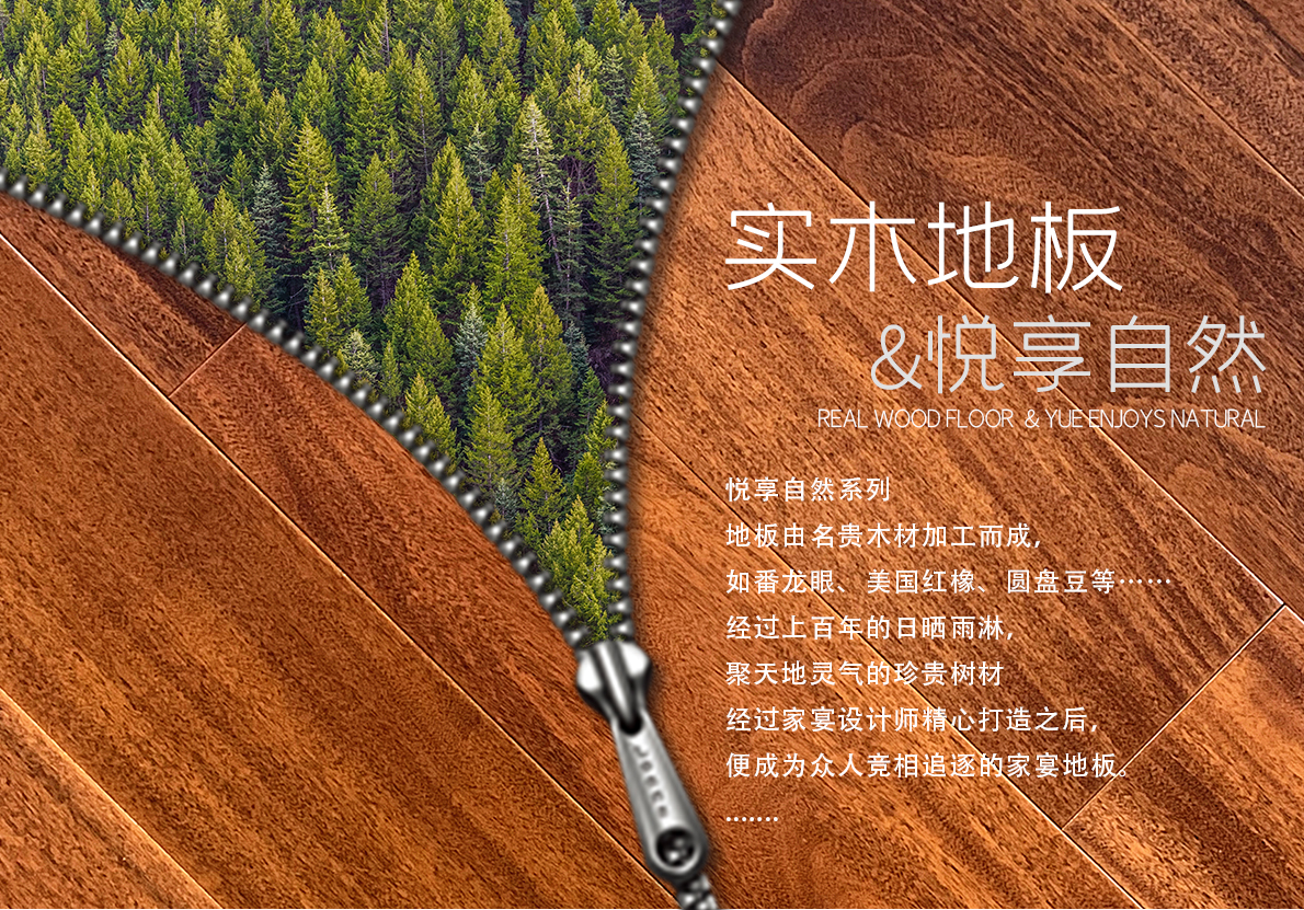 番龙眼84