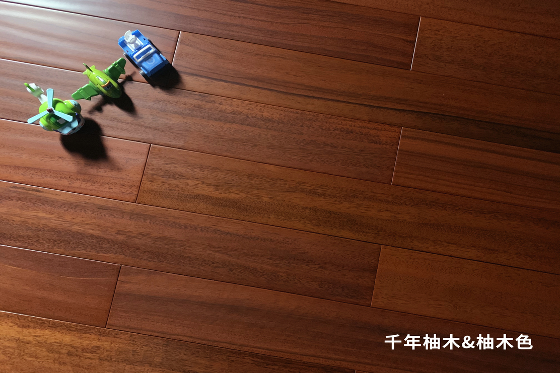 加枫53